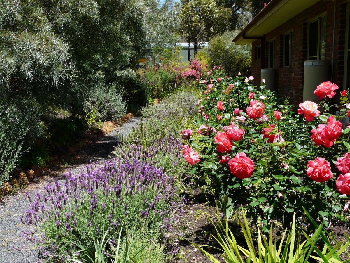Country Charm Retreat B&B Donnybrook Exteriör bild